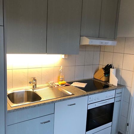 Cozy, Sunny, City Center 1 Bedroom Flat 취리히 외부 사진